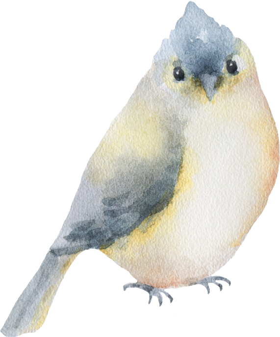Watercolor illustration of a bird.